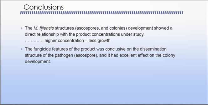 In Vitro Assay – Conclusions (Bananas) In vitro conclusions (bananas)