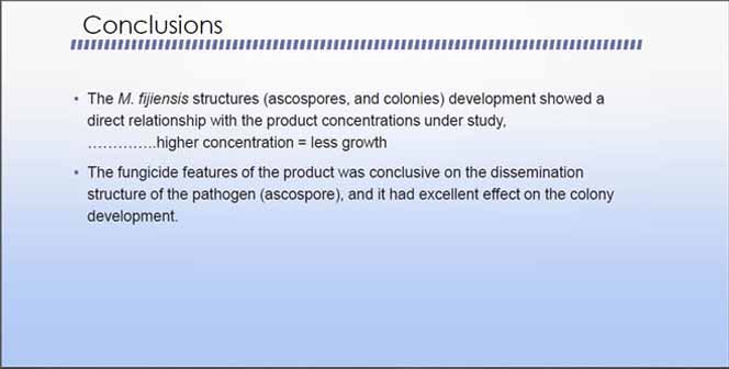 In vitro conclusions (bananas)