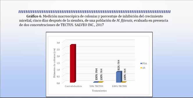 in vitro assay positive results (bananas)